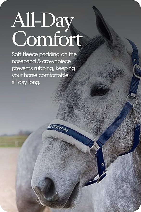 HORZE Howard Soft Fleece Padded Adjustable Polyester Horse Halter - Peacoat Dark Blue - Cob