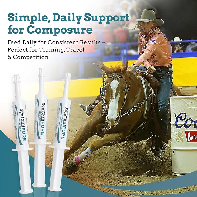 SynNutra Equine SynChill Pure – Non-Sedative Disposition Support for Horses – Plant-Based, L-Theanine-Free Formula for Calm, Confident Performance – 100% Natural & Competition Safe