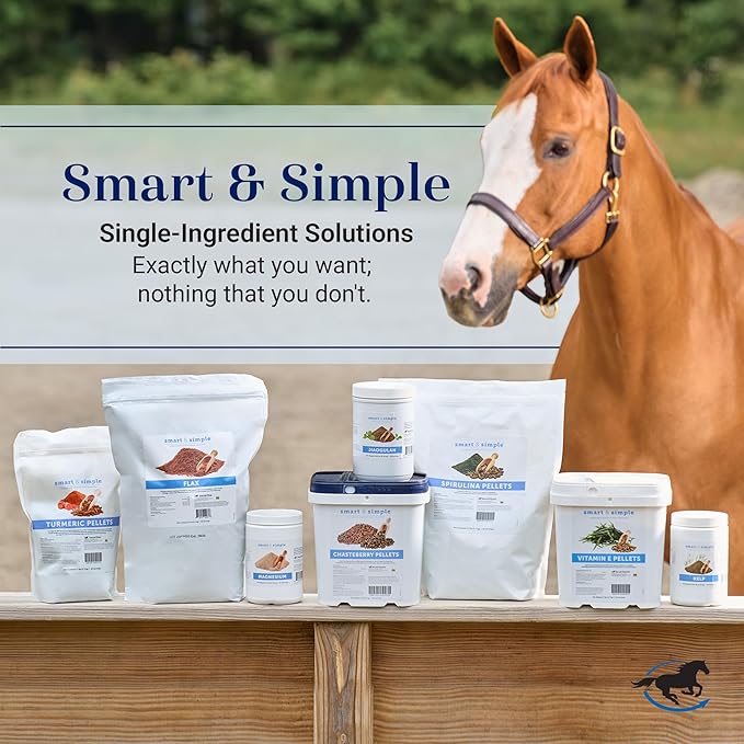 Smart & Simple Flax | Flax Seed Supplement for Horses | Provides 5,600 mg of Omega 3, Fatty Acids | Supports Skin and Coat Healthy | 45 Servings | 2.6 lb Bag