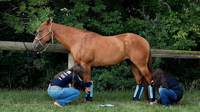 Warrior Fly Boots for Horses - Breathable Mesh Horse Boots for Fly Protection & Leg Comfort - Set of 4 (Knight Warrior, Neon Orange)