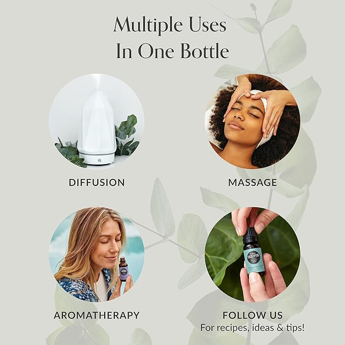 Edens Garden Study Buddy Essential Oil Blend- 100% Pure Premium Grade, Undiluted, Natural, Therapeutic, Aromatherapy, The Best for Diffusing, Kid Safe, Humidifiers, Skin 10 ml (.33 fl oz)
