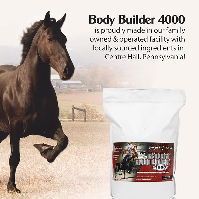 Pennwoods Body Builder 4000, Horse Weight Gain Supplement, High Fat and Energy Horse Weight Builder with Body Conditioning Horse Vitamins, Improves Hoof Quality - 12lb Bag