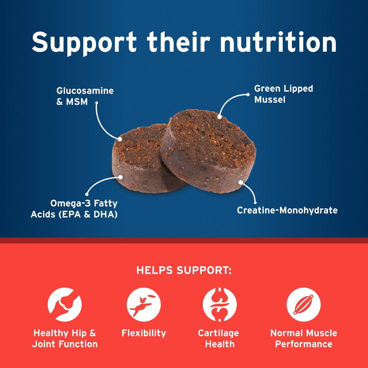 Pet Protect Vet-Formulated Hip & Joint Supplement for Dogs, 60 Chews for Joint Care