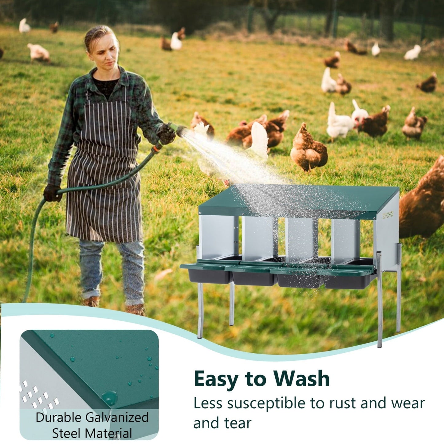 4-Hole Chicken Nesting Box with Legs & Cover - Galvanized Steel Rollaway Egg Collector for Hens
