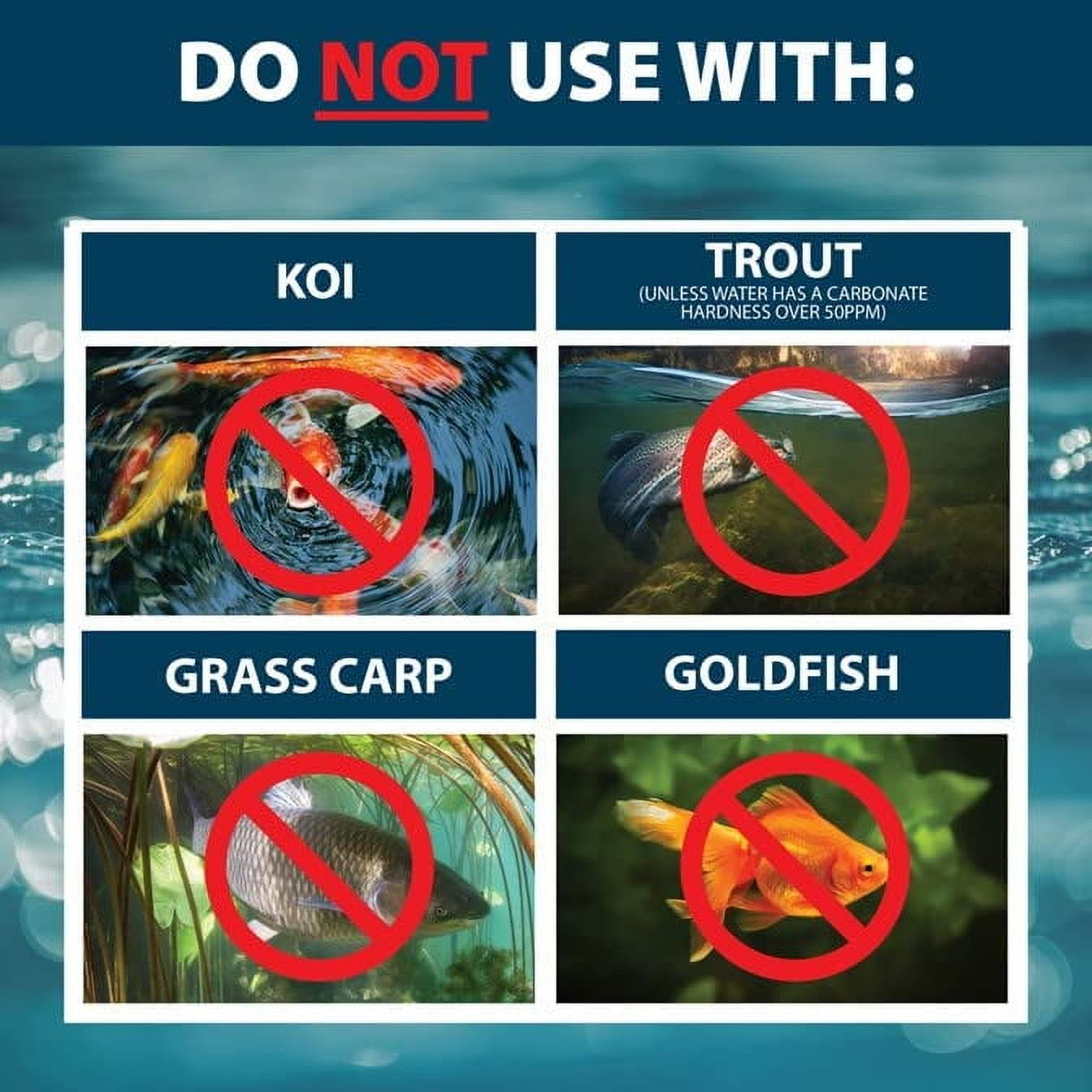 Algae Defense, EPA Registered Algaecide Pond & Lake Water Treatment, Floating Moss, Green Slime Scum & Chara Killer for Large Ponds & Lakes, Outdoor Liquid Spray Copper Based Solution, 1 Gallon