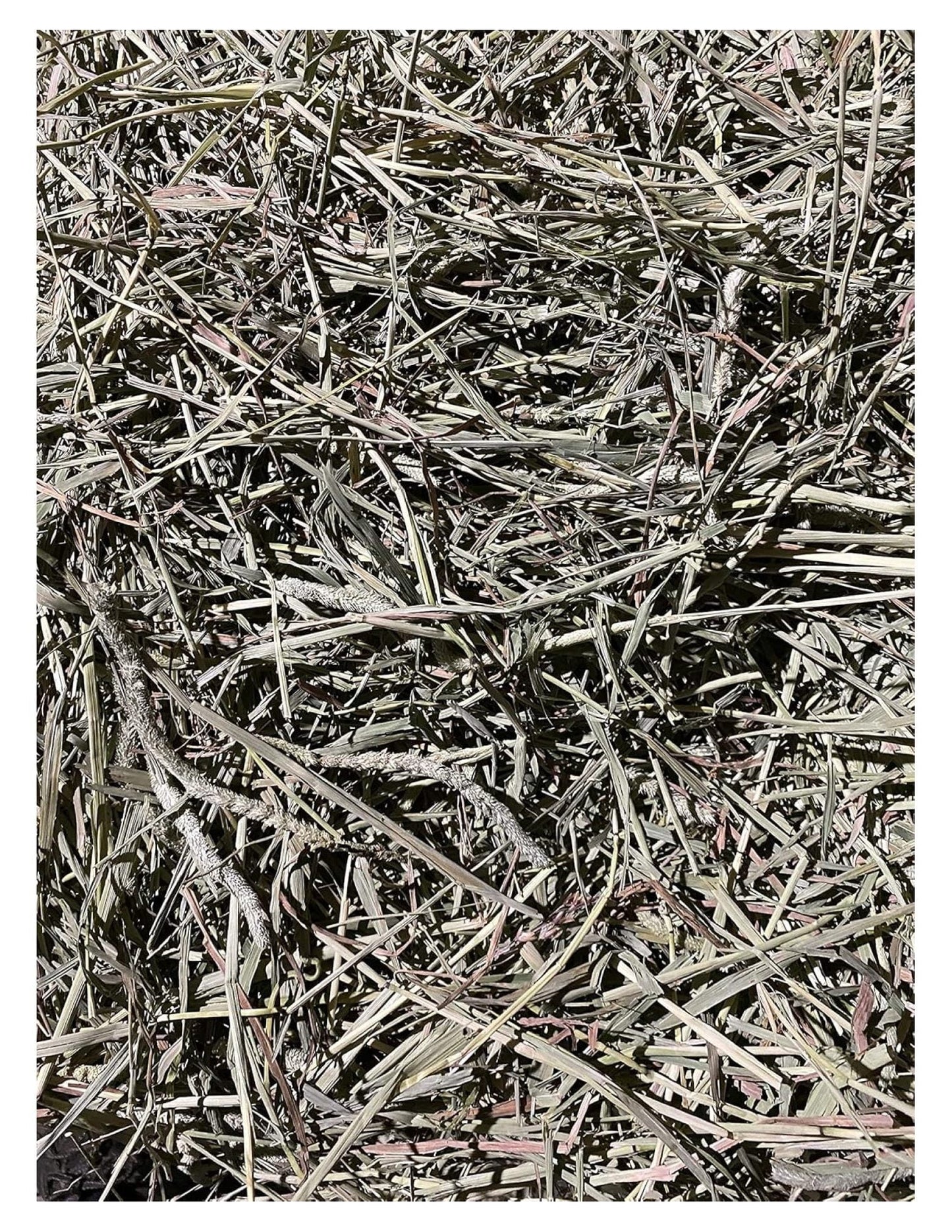 YfulYde Timothy Hay Rabbits, Guinea Pigs, Chinchilla Food (10+ lb.)