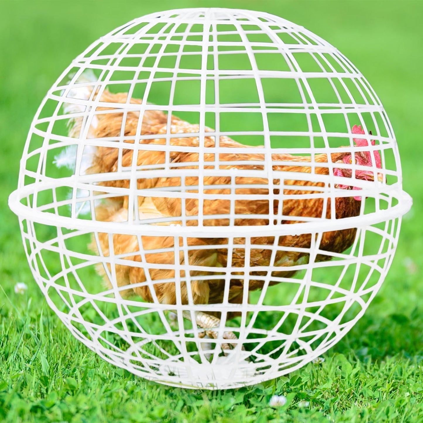 Moocorvic 12'' Pet Removable Safety Cage Chicken Coop Ball Rolling Enclosure Outdoor Farms Courtyard, for Birds Ducks Chickens