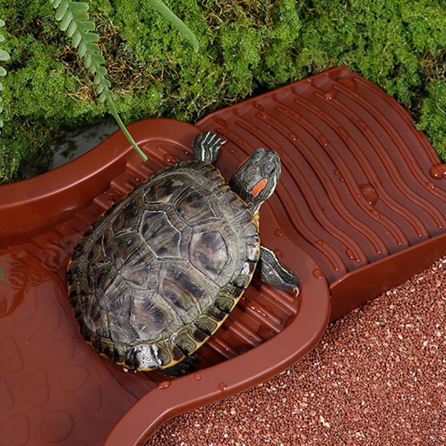Tortoise Water Dish with Ramp and Basking Platform, Reptile Food Dish Turtle Water Bowl, Reptile Bathing Pool Amphibians Habitat Accessories for Lizard, Box Turtle, Horned Frog