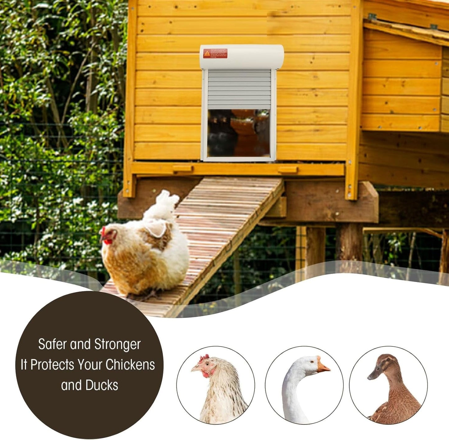 Automatic Chicken Coop Door Solar for Duck Goose Farm, Roller Shutter  Metal Chicken, Duck, Goose Coops Cages (White)