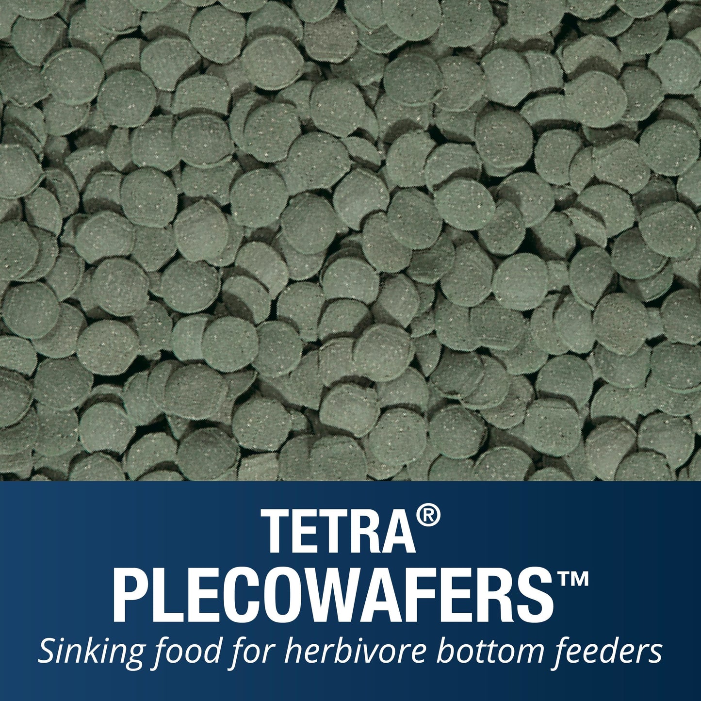 Tetra Pleco Wafers for Algae Eating Fish, Sinking Fish Food to Support Digestibility, 6.5 oz