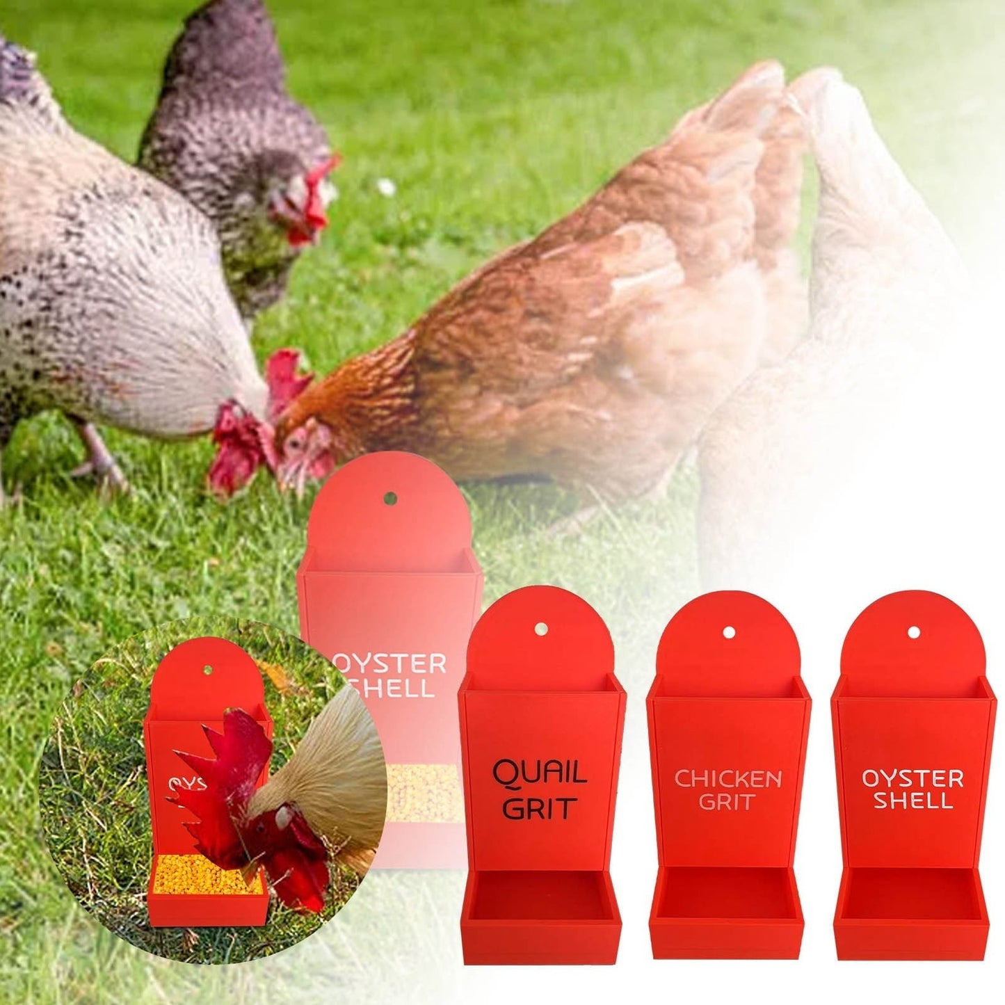 MU Hanging Chicken Gravel Feeder & Oyster Shell Grit Feeder Plastic 3D Printing Chicken Feeder Chicken coop Accessories Automatic Chicken Feeder (Red)