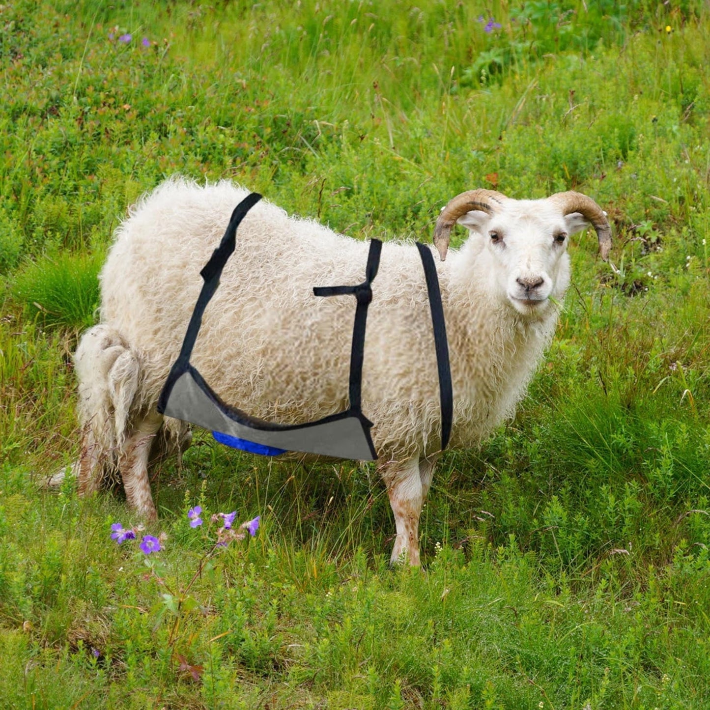Goat Anti-Breeding Apron Skirt - Adjustable Livestock Mating Control Skirt for Goats & Sheep, Wear-Resistant Animal Breeding Apron with Secure Straps, Farm Animal Supplies (64X36cm)