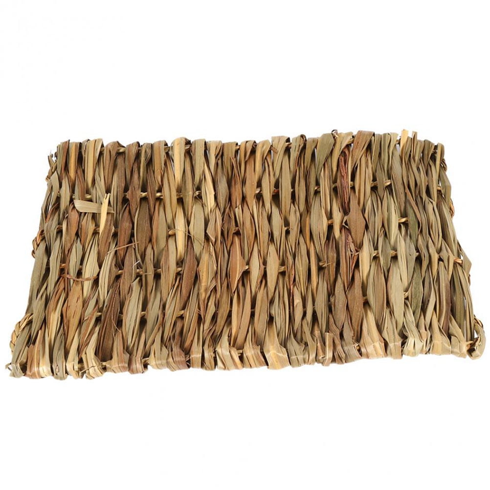 2pcs Pet Mat Grass Mats Safe Edible Mats Cages Chew Toys for Pets Size 40x28CM