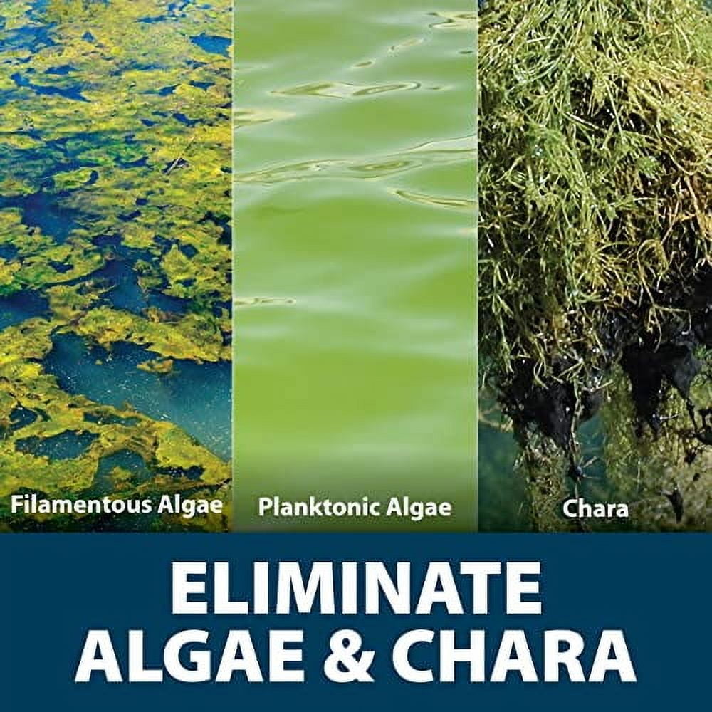 Algae Defense, EPA Registered Algaecide Pond & Lake Water Treatment, Floating Moss, Green Slime Scum & Chara Killer for Large Ponds & Lakes, Outdoor Liquid Spray Copper Based Solution, 1 Gallon