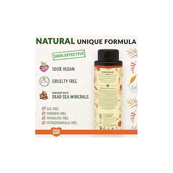 ecoLove - Natural Shampoo, Sodium lauryl sulfate Free, Vegan & Cruelty Free Shampoo for Color Treated Hair, Very Dry Damaged Organic Lavender shampoo, No SLS or Parabens, 17.6 oz