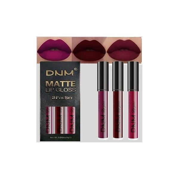 evpct 3Pcs Dark Red Purple Plum Matte Liquid Lipstick Lip Stain Sets for Women Matte+Lipstick Maroon Long Lasting Permanent 24 hr Hours Magic original Waterproof