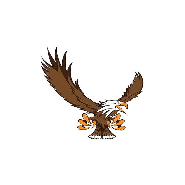 Anderson's 25-Piece Eagle Body Decal Set, Tattoos, Cheek Cheers, Fan Gear, Sports Gear,School Spirit, Football Cheerleader Accessories, Homecoming