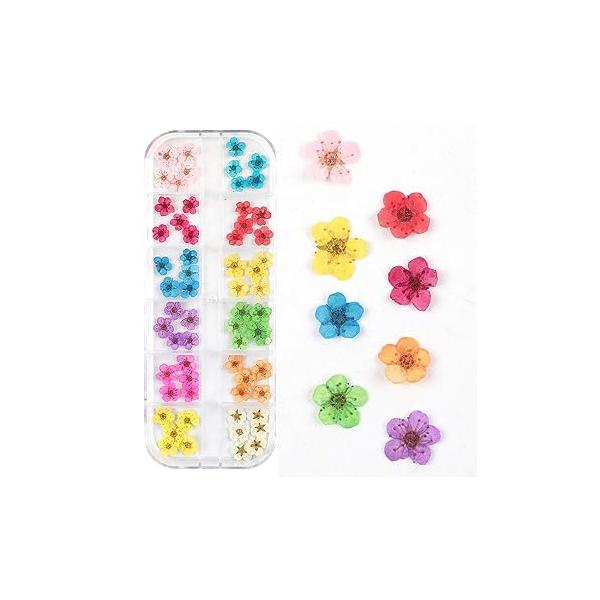 Dried Flowers for Nail Art CHANGAR Mini Real Natural Dry Sticker Decals Small Tiny Five Petal Flower Resin Supplies Decoration
