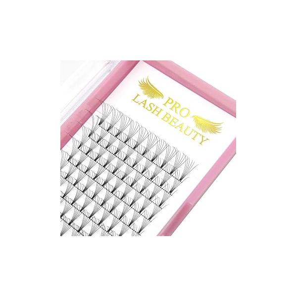 Premade Fans Eyelash Extensions 6D-C-0.10-12 Short Stem Volume .07 .10 C D Curl Pre made Lash 9 to 20 mm (6D-C-0.10,12mm)