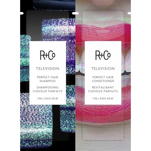 R+Co Television Perfect Hair Shampoo | Body + Shine Smoothing for All Types Vegan Cruelty-Free
