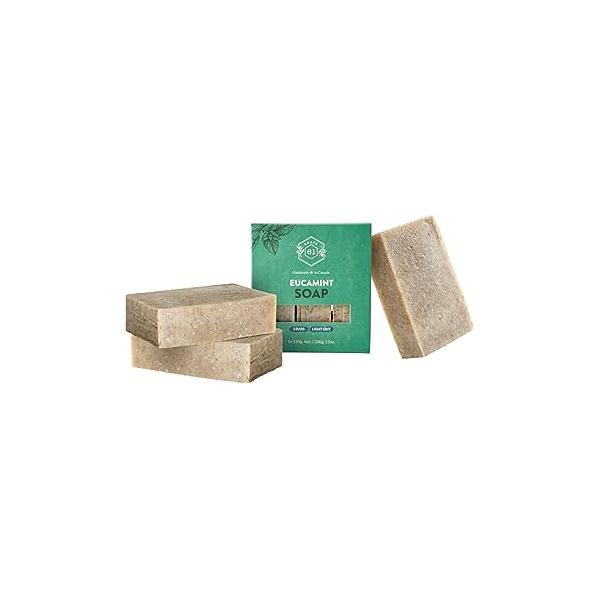 Handmade in Canada, Plant Based Cold Process Natural Bar Soap For Face And Body, With Premium Essential Oils, Men Women 3 Pack (Eucamint)
