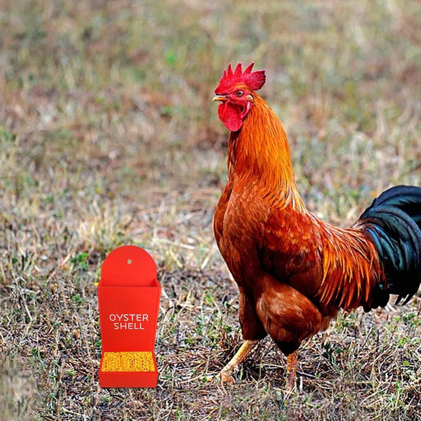 MU Hanging Chicken Gravel Feeder & Oyster Shell Grit Feeder Plastic 3D Printing Chicken Feeder Chicken coop Accessories Automatic Chicken Feeder (Red)