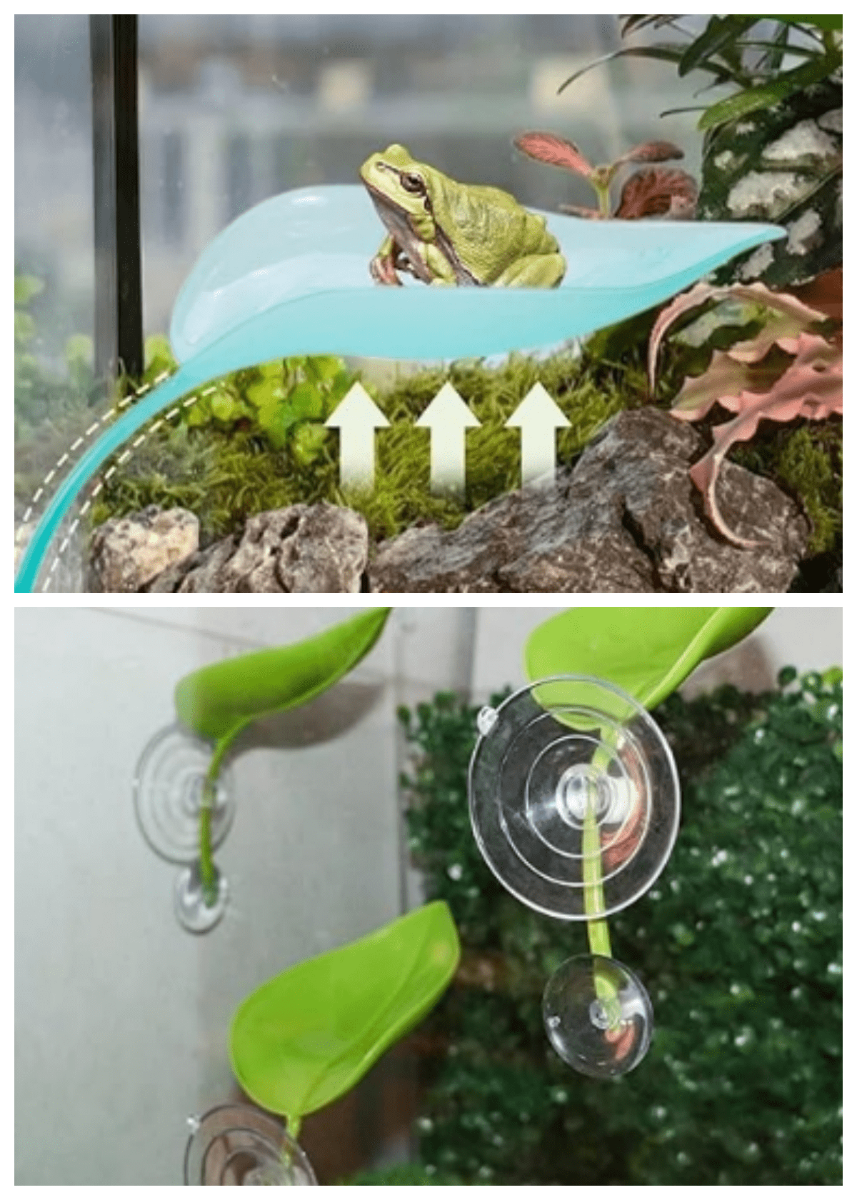 4 Pack Leaf Decorations with Suction Cups, Frog Habitat Platform, Reptile Decorations for Terrarium, Tank Terrarium Accessories for African Dwarf, Toad